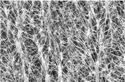 林晓 -水处理x63